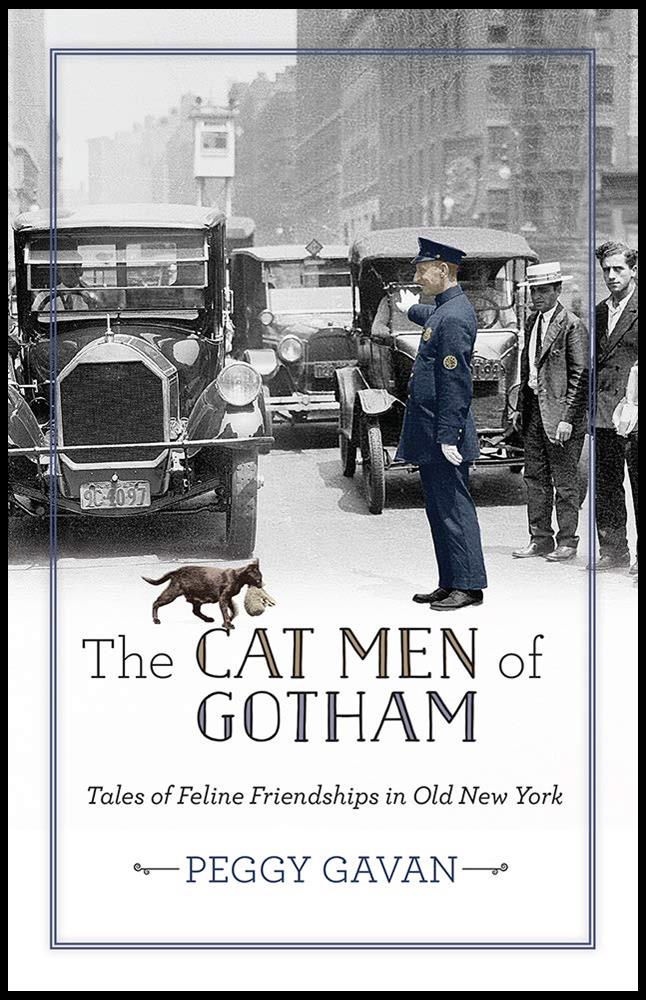 Cat Men of Gotham