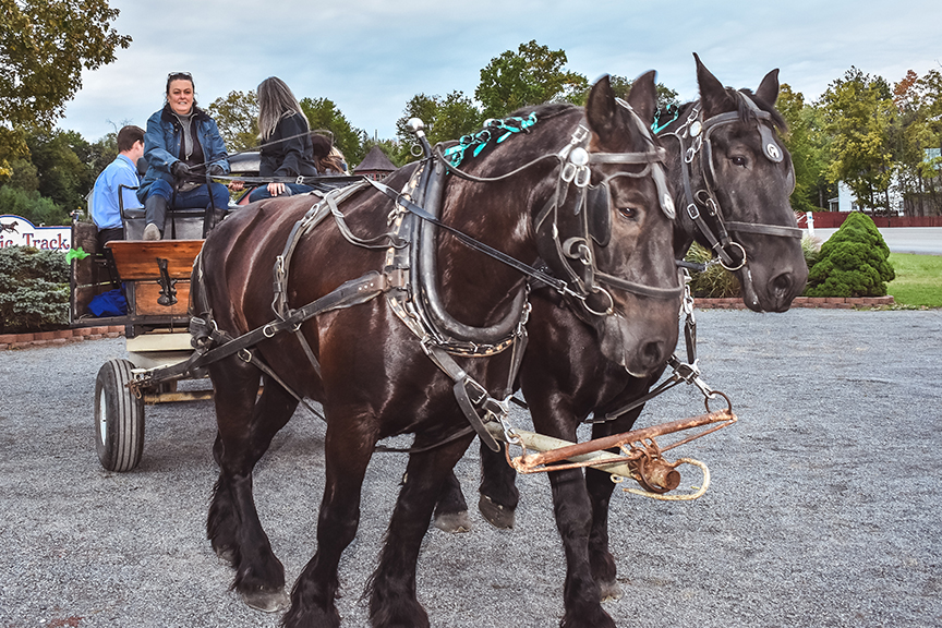 Goshen Historic Track Hayride