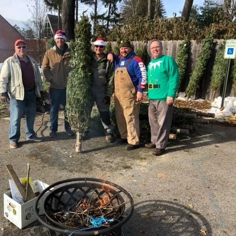 PHOTO_TRUCKS N TREES