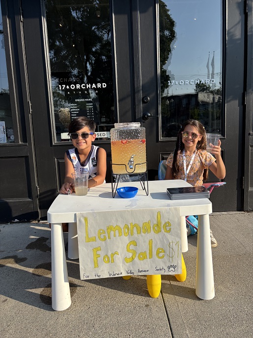 Chloe + Zach Theologis lemonade stand