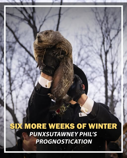 Photo credit: Facebook WESH2 news